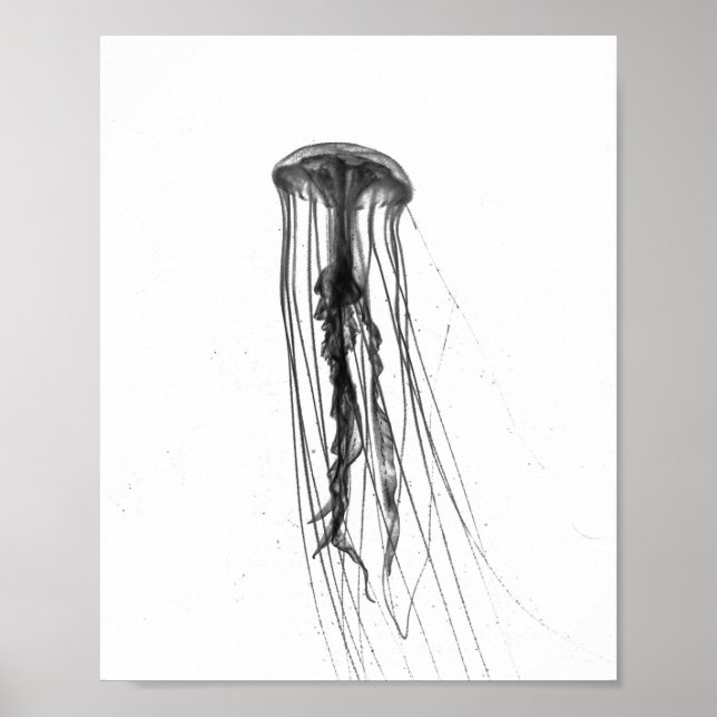 Silhouette Jellyfish | POSTER (Frente)