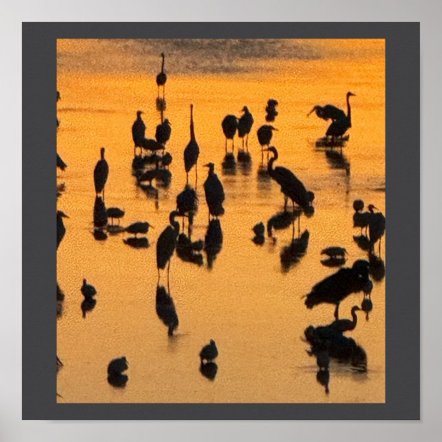 Silhueta Sunset de Aves Poster (Frente)