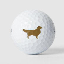 Silhuette de ouro Retriever | Raça De Cães