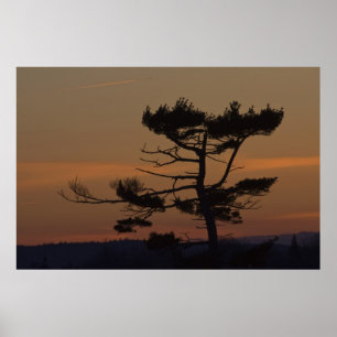Silhuettes na impressão de Arte Bestiça