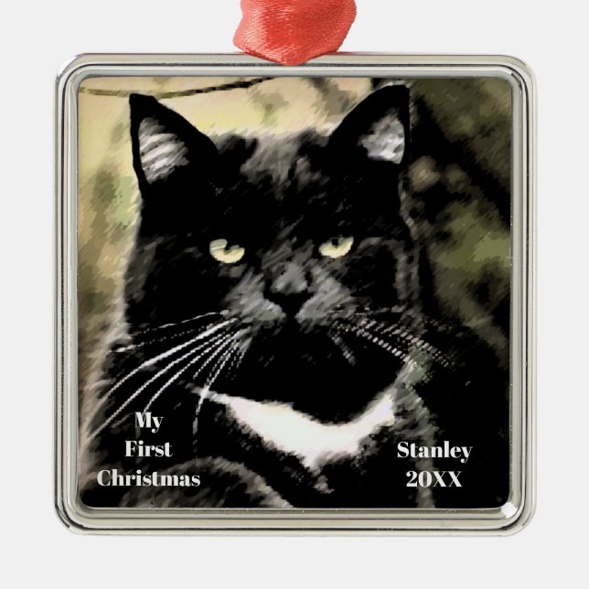 Silver Cat Meus Primeiros Ornamentos de Foto de Na (Frente)