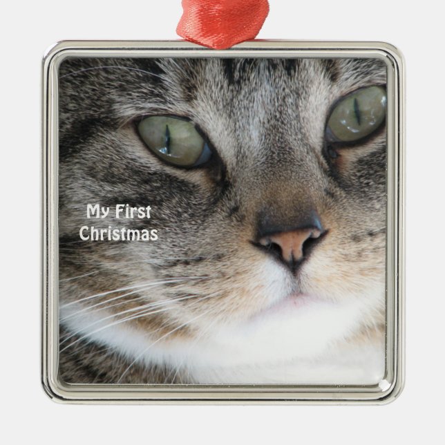 Silver Cat Meus Primeiros Ornamentos de Foto de Na (Frente)