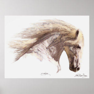 SILVERWIND (cor da água) Poster de arte