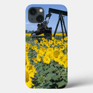 Sim, EUA, Colorado, Girassóis, Torre de Perfuração