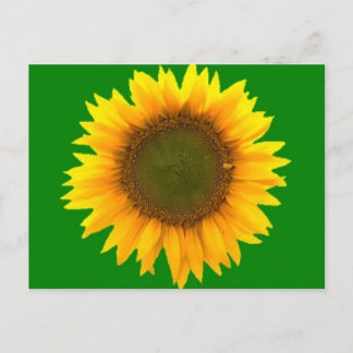 Simbolismo do Cartão Poste de Luz