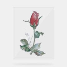 Símbolo acrílico ROSA BUD DESIGN STYLE