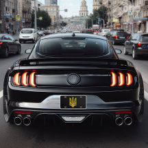 Símbolo de Sinalizador da Ucrânia Volodymyr Zelens