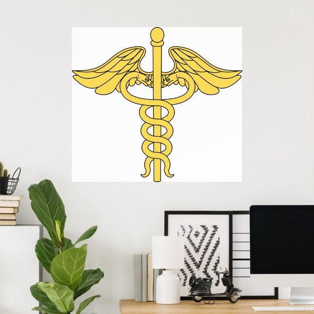 Símbolo médico Caduceus Poster (Criador carregado)