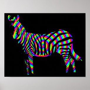 Símbolo Poster de Zebra Rainbow