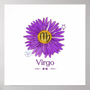 Símbolo Virgo Zodiac com Poster de Flor Aster Roxo