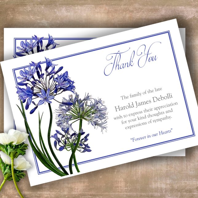 Simpatia Agapanthus Cartões de agradecimentos Fune (Sympathy floral Celebration of Life, In Loving Memory, Forever in our Hearts Funeral thank you cards)