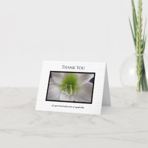 Simpatia Obrigado Cartão de Nota - Amaryllis Branc