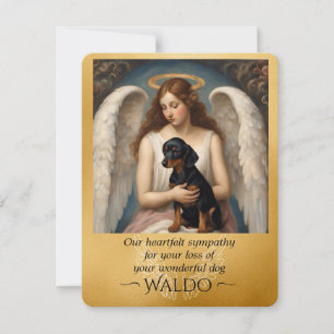Simpatia pela perda da amada placa plana Dachshund