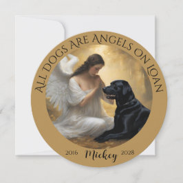 Simpatia pela perda do seu labrador negro