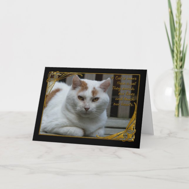 Simpatia perda do cartão de gato (Frente)