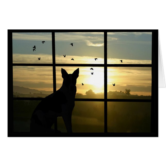 Simpatia por cães, perda de cartão de cão (Frente Horizontal)