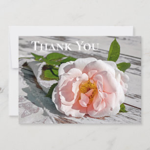 Simpatia Serviço Memorial Obrigado Cartões