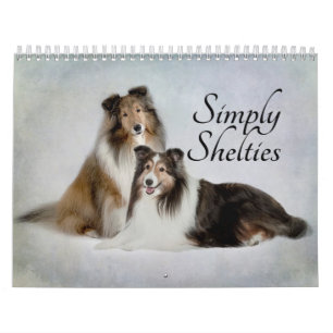 Simplesmente calendário de Shelties