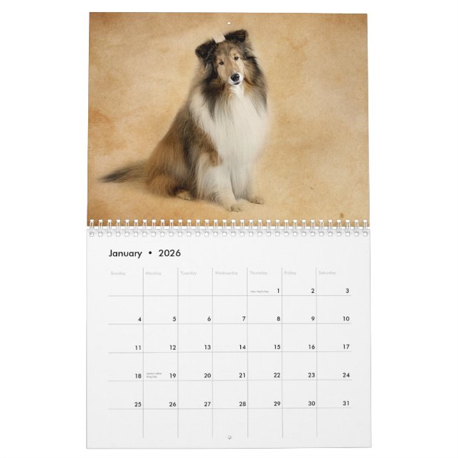 Simplesmente calendário de Shelties (Jan 2026)