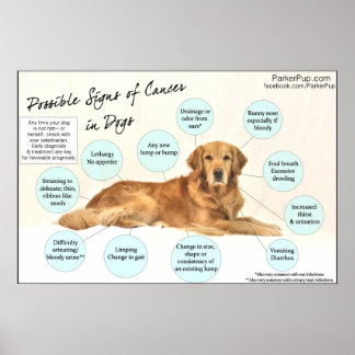 Sinais do Poster do Cancer