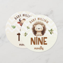 Sinal de Etapa do Bebê Cute Hedgehog Ox 9-10 Meses