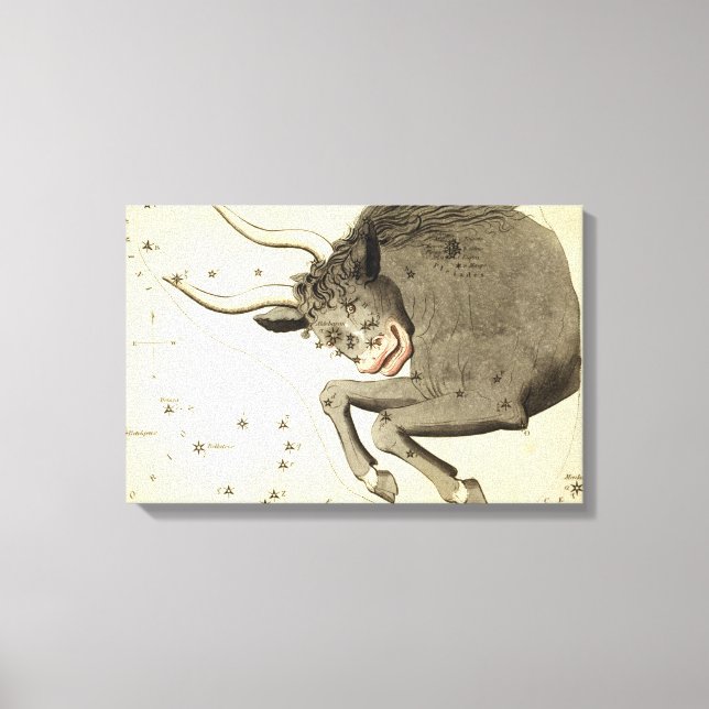 "Sinal Zodiac: Taurus" canvas (Frente)