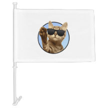 Sinalizador de Carro Gato legal
