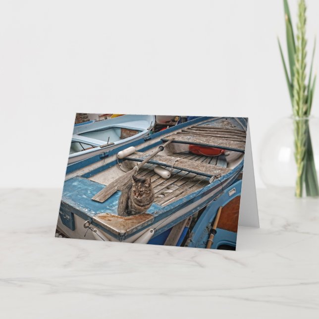 Sinbad, o Gato do Marinheiro - Cartão Saudável (Frente)