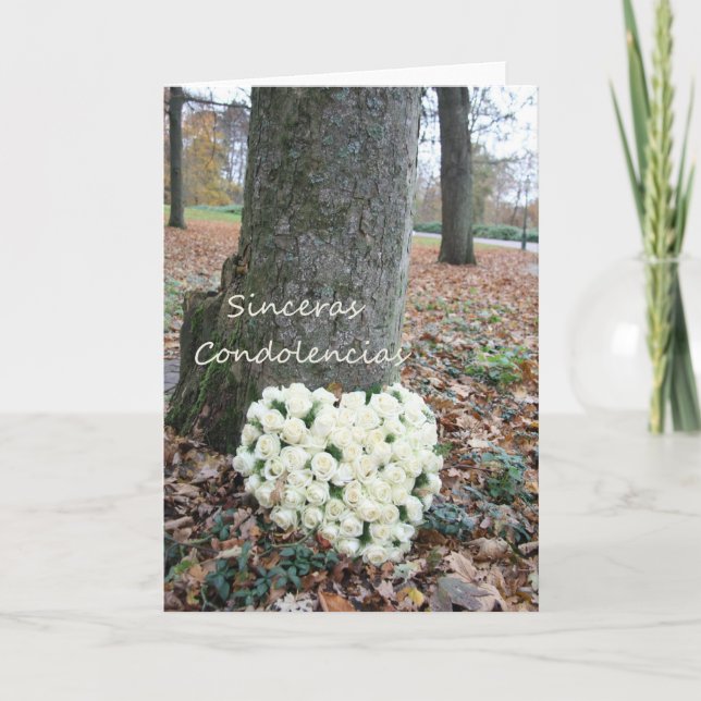 Sinceras Condolencias Cartão de solidariedade espa (Frente)