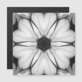 Sinfonia da placa magnética de Petals