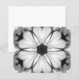 Sinfonia do Papel de Petalas