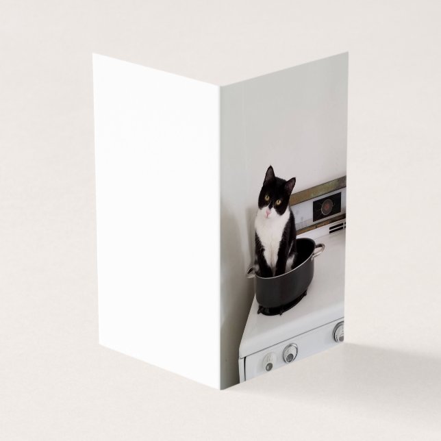 Sinto muito, Card (Exterior)