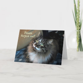 Sinto muito pelo Cartão Zorro Gato Irresistível