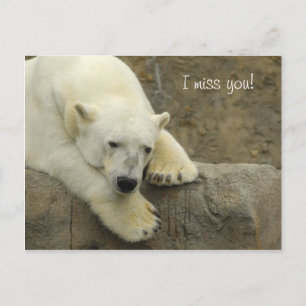 Sinto sua falta - Cartão postal do Urso Polar