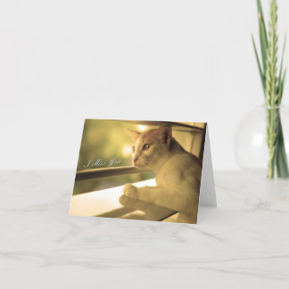 Sinto Sua Falta De Cartão De Nota