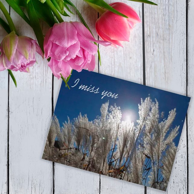 Sinto sua falta do cartão postal (Criador carregado)