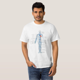 Sistema circulatório humano do t-shirt das veias