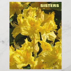SISTERS Scrapbooking paper Flores de Rhodies Amare