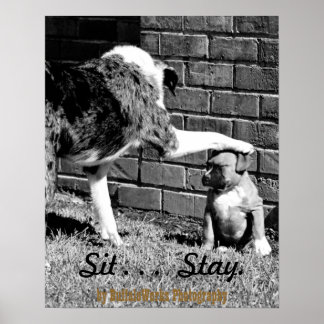 Sit - - - Fique - - Poster