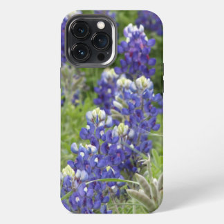 SJefferson Texas Bluebonnets Série #2