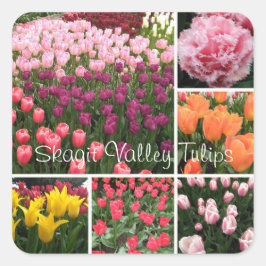 Skagit Valley, colagem de adesivos de tulipas WA