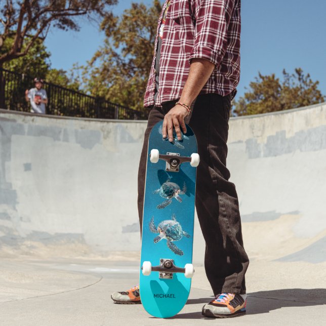 Skate 3D Turtles Coastal  (Ao ar livre 2)