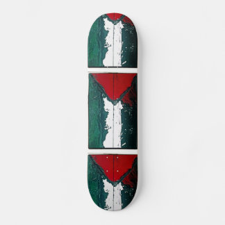 SKATE A FAIXA DE GAZA