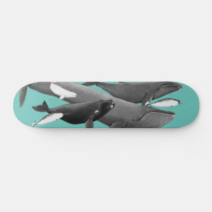 Skate A Natação Das Baleias Ilustração Do Azul De Baleia