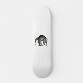 Skate abstrato de gato assustado