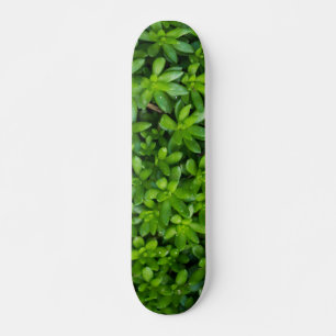 Skate Abstrato de Moss