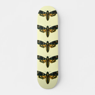 Skate Acherontia atropos (Hawkmoth Chefe da Morte)