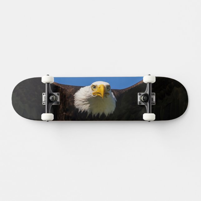 Skate Águia Americana Voando Perto (Horz)