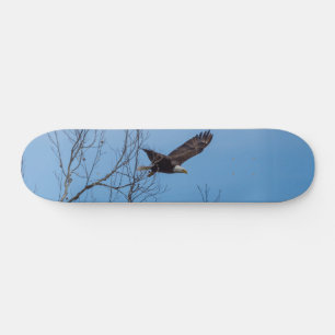 Skate Águia No Quadro De Voo