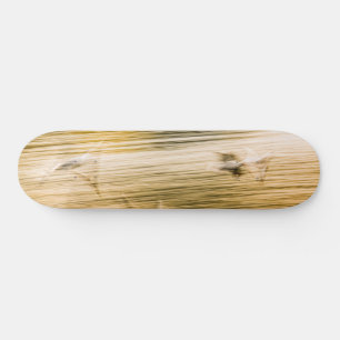 Skate Agulhas voadoras - abstrato